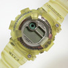 G-SHOCK DW8201/1294